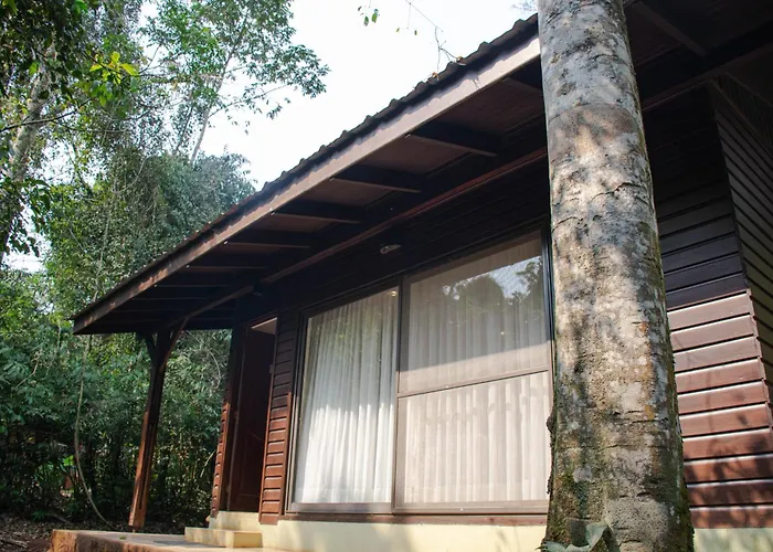 Yvy Hotel de Selva