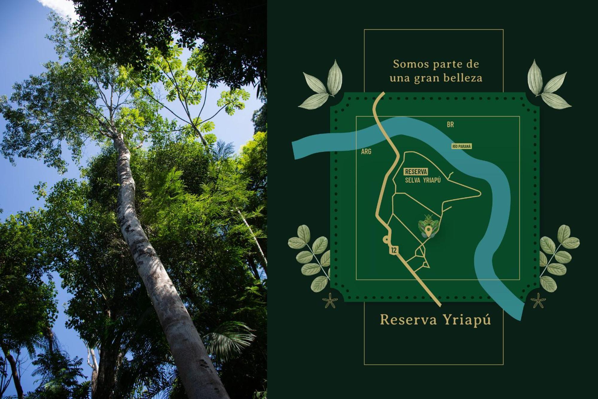 Yvy De Selva Hotel
